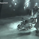 Image for article titled Incompetent Thieves Steal Shark From San Antonio Aquarium by Disguising It as a Baby